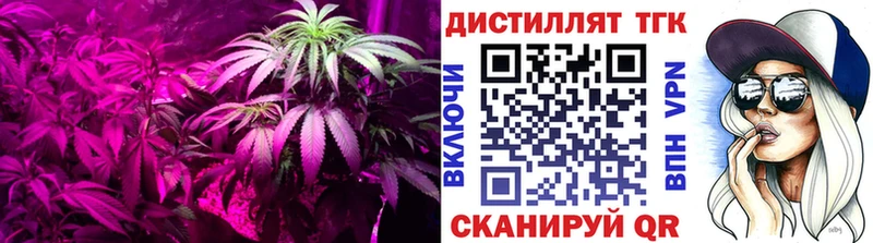 ТГК жижа  Купить  Чайковский 